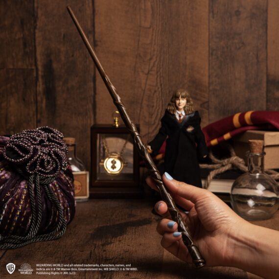 NN0002 NN7021 NN8411 Hermione Wand Environment_resized