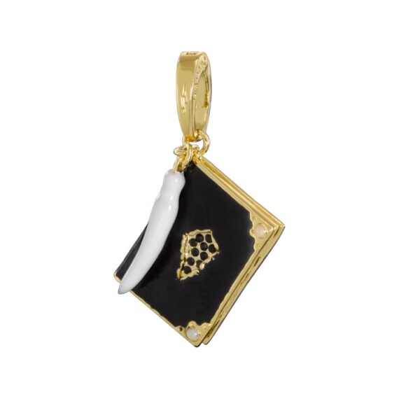 NN1024 Lumos Charm #11 Tom Riddles Diary_resized