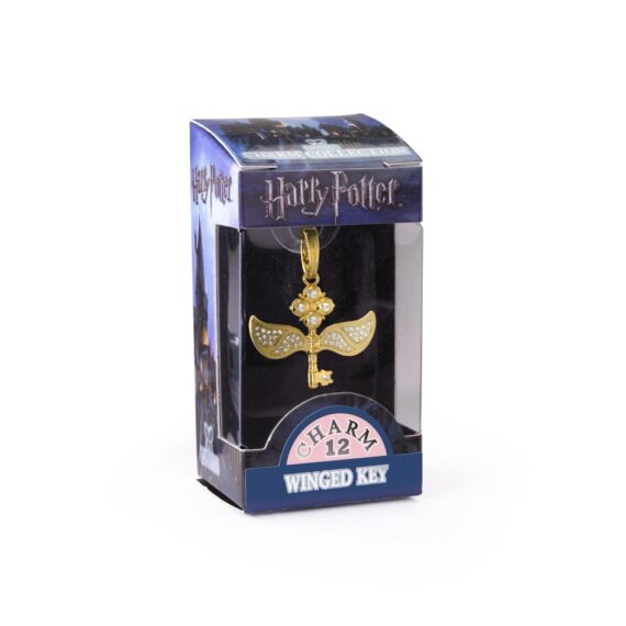NN1029 Lumos Charm #12 Winged Key - Packaging_resized