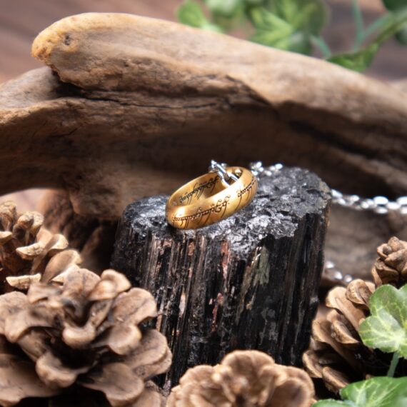 NN1588 One Ring Stainless Steel with Chain - Environment 1_resized