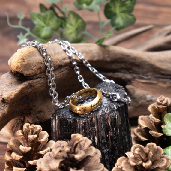 NN1588 One Ring Stainless Steel with Chain - Environment 2_resized