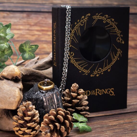 NN1588 One Ring Stainless Steel with Chain - Environment 4_resized