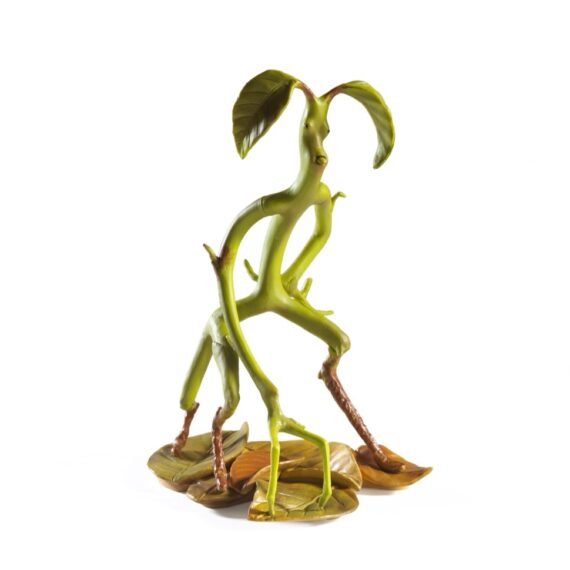 NN5250 FBMC#2 Bowtruckle - Alone_resized