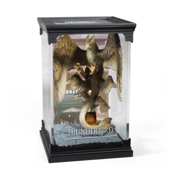 NN5260 FBMC#6 Thunderbird - Inside_resized