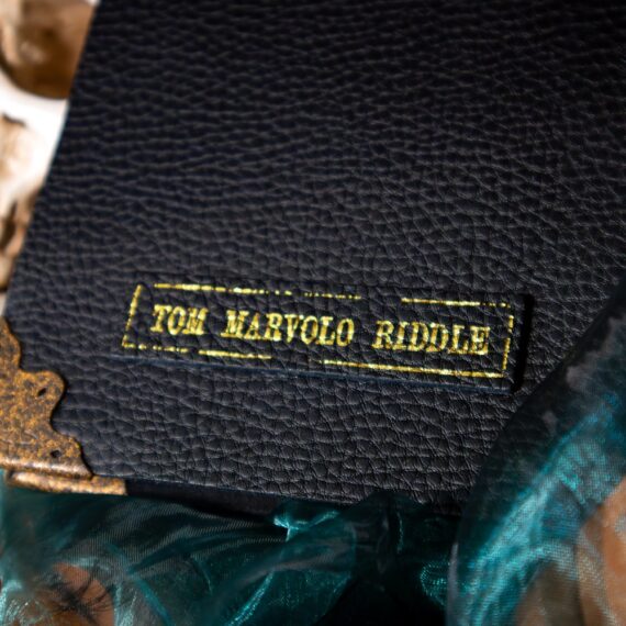 NN7263 Tom Riddle Diary - Detail_resized