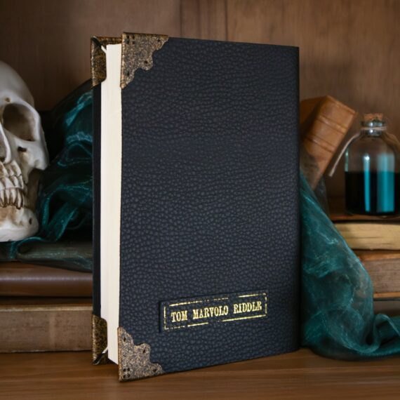 NN7263 Tom Riddle Diary - Environment_resized