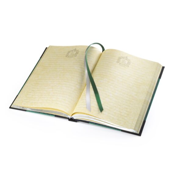 NN7339 Slytherin Journal - Open_resized