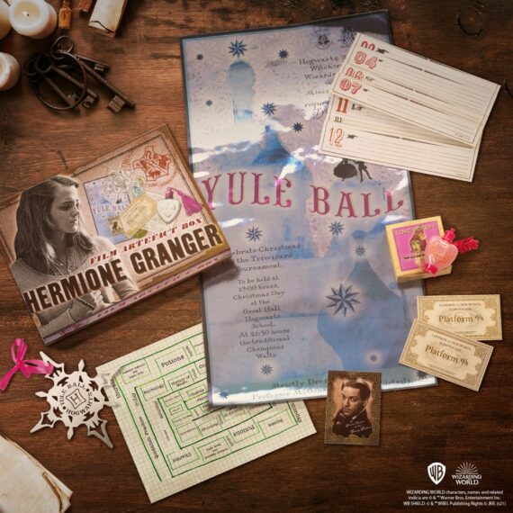 NN7431 Hermione Artefact Box Environment_resized