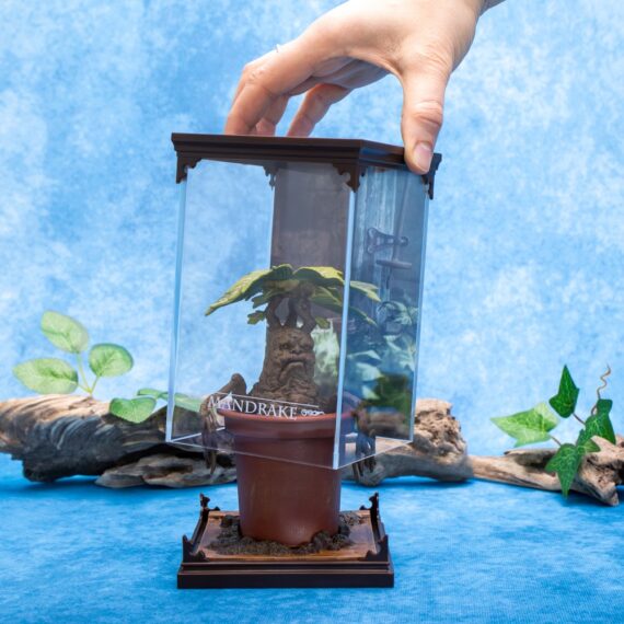 NN7699 Magical Creatures #17 Mandrake - Environment 8_resized