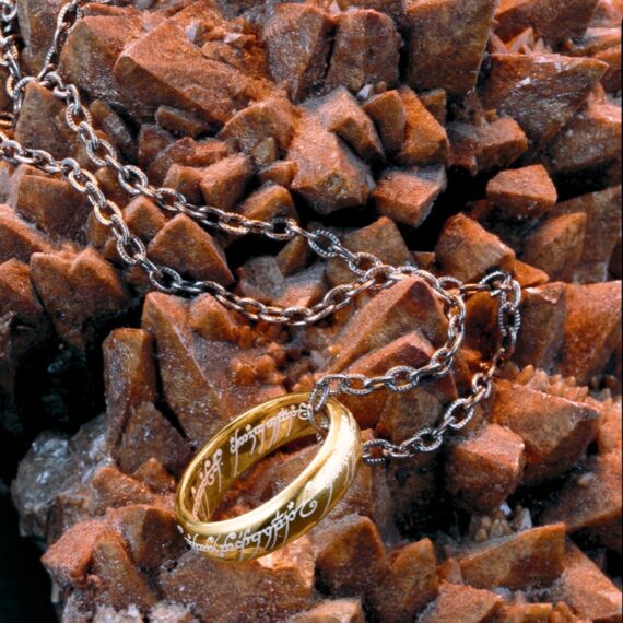 NN9269 One Ring Silver Environment_resized
