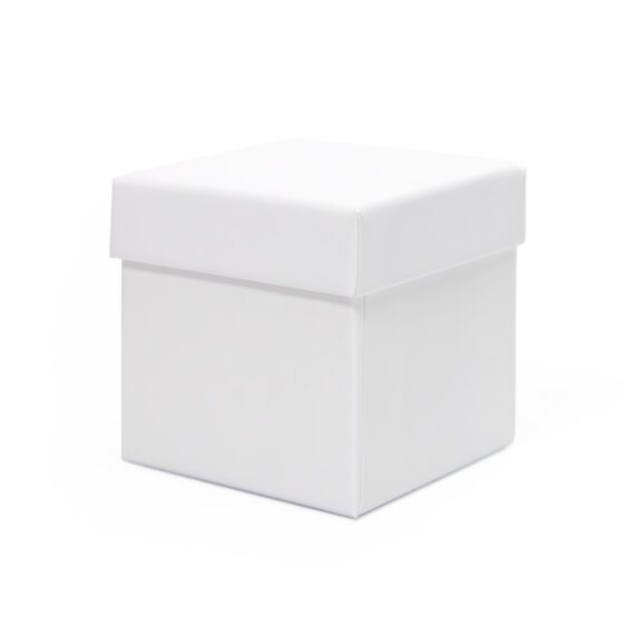 NN9687 LOTR_RingBox_WhiteBox_resized