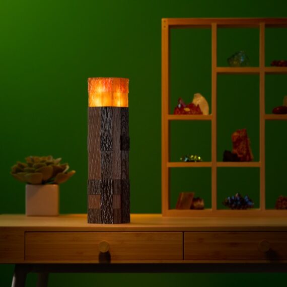 nn3727-minecraft-torch-enviro-02_resized