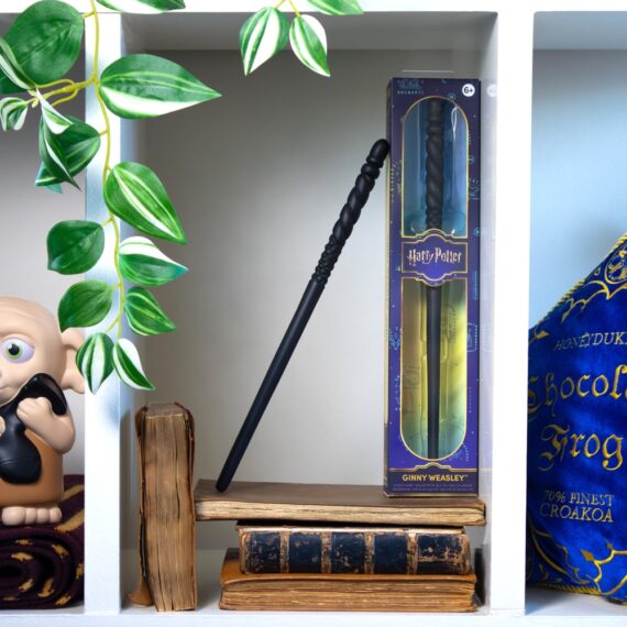 NN5638-Ginny-Role-Play-Wand-Enviro-Shelf_resized